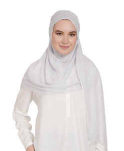 Silver Gray (Solid Modal)